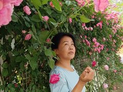 -太阳宫公园