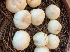 -佬钱湾仔(衣裳街店)