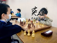 -常青藤国际象棋(新奥店)