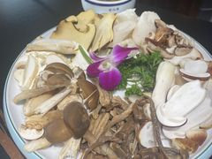 -野菌皇海景野生菌火锅(滨海大道店)