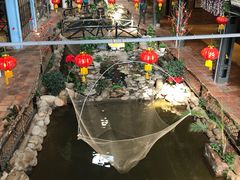 -鹅城