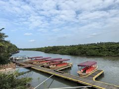 -东寨港红树林旅游区