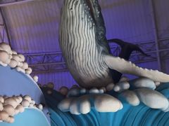 -烟台海昌鲸鲨海洋公园
