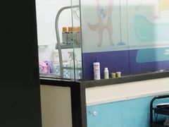 -天宠宠物医院24小时·急重症诊疗中心·全科·腔镜特色(和平分院)