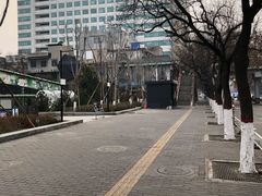 -莲湖公园