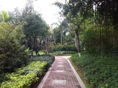 景点-江头公园