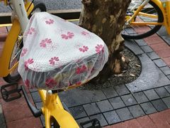 -上海市静安区图书馆(新闸路馆)