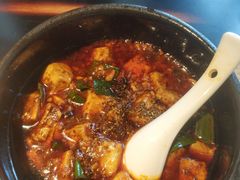 -陈麻婆豆腐总店