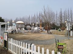 -前小桔亲子创意农场·草莓采摘·露营烧烤