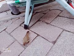 -上海杨姆庄园