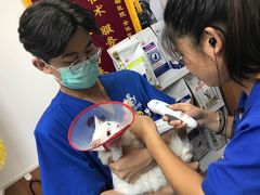 -宠福鑫动物医院·动物疾病诊疗中心(天通苑店)