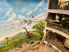 -辽宁古生物博物馆