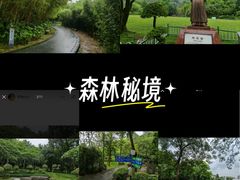 -火炉山森林公园