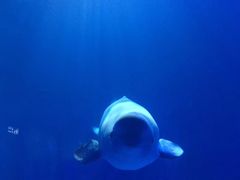 -多彩贵州城极地海洋世界