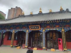 -护国法轮寺