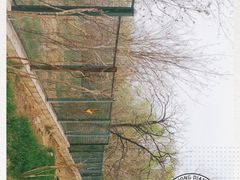 -北京麋鹿生态实验中心