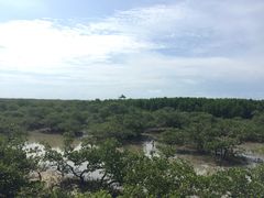 -北海金海湾红树林生态旅游区