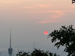 -梧桐山风景名胜区