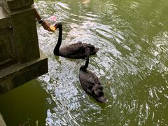 -水濂山森林公园