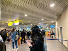 -谢列梅捷沃国际机场