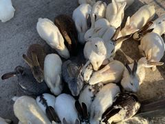 -茅山东方盐湖城景区