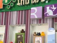 -瑞鹏·疫苗·绝育·宠物医院(金沙洲店)