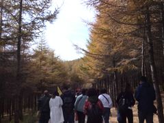 -红崖峡谷景区