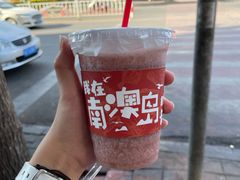 -南澳岛打卡果汁冰公司