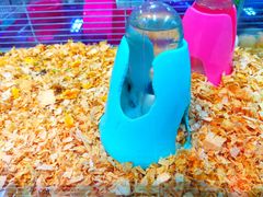 -乐宠宠物店(世纪金源店)