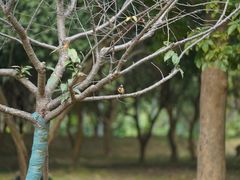 -福建鲤鱼洲酒店