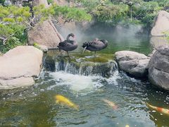 -罗红摄影艺术馆