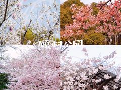 -上海辰山植物园