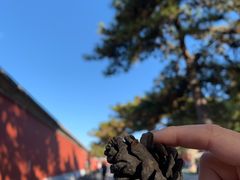 -故宫冰窖餐厅