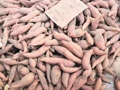 -何庄子阿米玛玛农产品批发市场