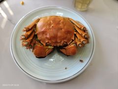 -小陆莲花蟹园农家乐(莲花岛店)