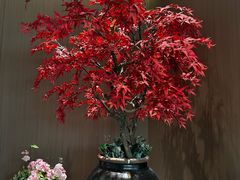 -热度餐厅(老佛爷店)