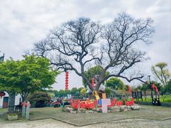 -嬉乐湾休闲旅游区