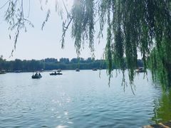 景点-廊坊市自然公园