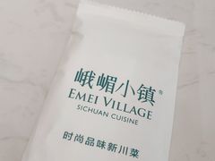 -峨嵋小镇(远洋城店)
