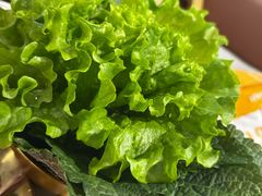 -炉队长·齐齐哈尔家庭烤肉(马家堡店)