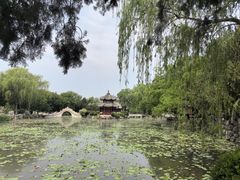 -莲池书院博物馆