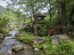 -大围山国家森林公园
