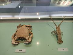 -大连自然博物馆