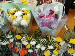 -曲阳花鸟市场(曲阳路店)