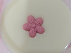 -陈家婆的菜(梅溪湖店)