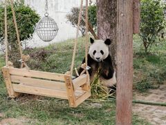 -无锡动物园·太湖欢乐园