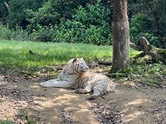 -杭州野生动物世界