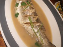 -前海沿·青岛菜(大拇指广场石老人店)