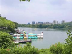 -广东花都湖国家湿地公园