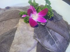 -捞锅坝子老火锅(汽博中心店)